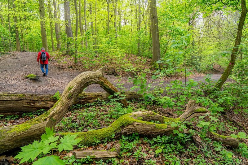 Symbolic image Hiking with smartphone and hiking app, navigation on hiking trails, digital hiking map with navigation, Komoot app, pre-programmed routes, GPS guides you precisely along the planned route, North Rhine-Westphalia, Germany, Europe