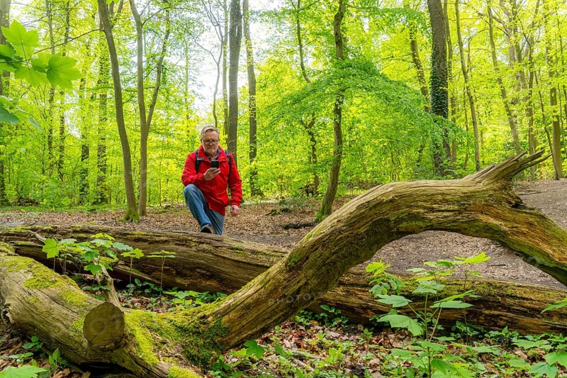 Symbolic image Hiking with smartphone and hiking app, navigation on hiking trails, digital hiking map with navigation, Komoot app, pre-programmed routes, GPS guides you precisely along the planned route, North Rhine-Westphalia, Germany, Europe