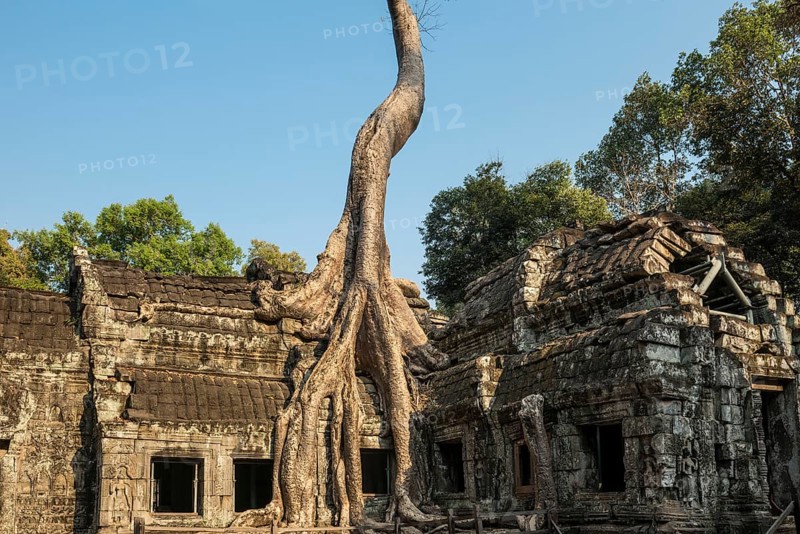 Ta Prohm, Angkor Wat, Angkor, UNESCO World Heritage Site, Siem Reap, Cambodia, Indochina, Southeast Asia, Asia