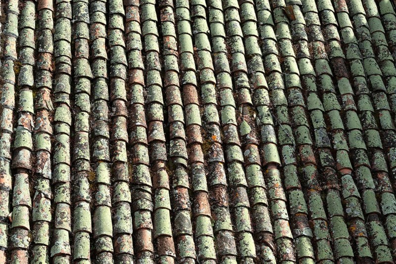 Close-up view of terracotta roof tiles showcasing unique textures and colors. The surface exhibits age with moss, lichen, and natural wear, reflecting a rustic atmosphere. France