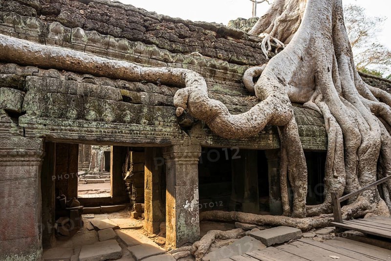 Ta Prohm, Angkor Wat, Angkor, UNESCO World Heritage Site, Siem Reap, Cambodia, Indochina, Southeast Asia, Asia