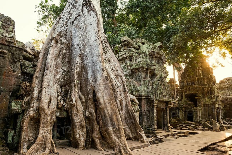 Ta Prohm, Angkor Wat, Angkor, UNESCO World Heritage Site, Siem Reap, Cambodia, Indochina, Southeast Asia, Asia