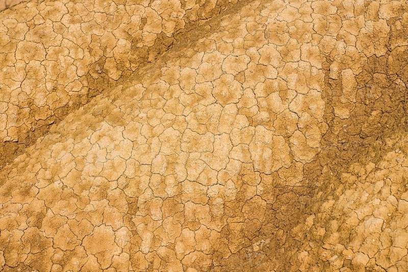 Dry cracked earth texture creates a dramatic pattern, highlighting the impact of severe drought and arid climate conditions
