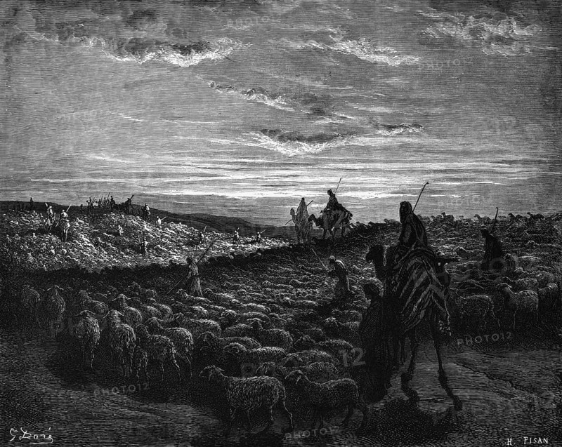 Bible, Abraham goes to Canaan, 1st book of Moses, herd of sheep, camels, rider, shepherd, guardian, cloudy sky, Moses, Old Testament, historical illustration 1885