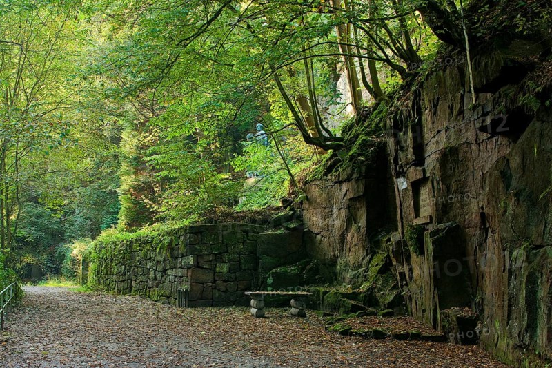 Liebethaler Grund near Lohmen in Saxon Switzerland