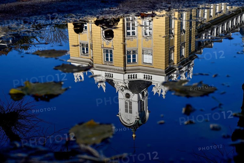 Karlsruhe Castle reflected in a puddle in autumn, Karlsruhe, Baden-Württemberg, Germany, Europe