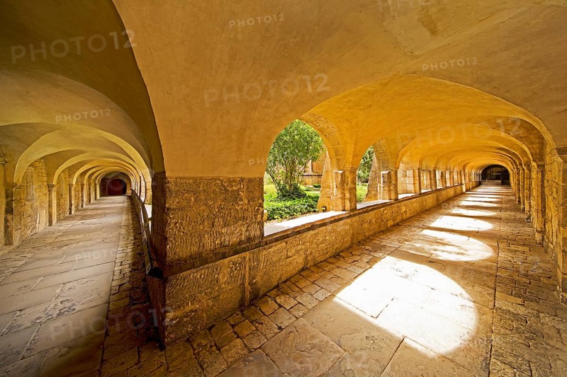 Cloister with view through the cemetery to the Thousand Year Rosebush, Mariendom, Hildesheim, Lower Saxony, Germany, Europe