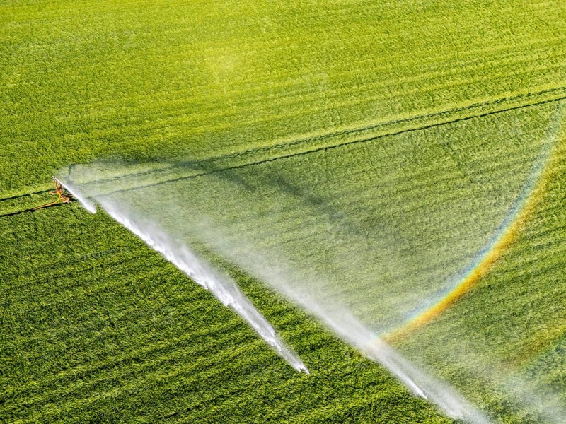 Artificial irrigation of a cereal field in April, with a sprinkler system, long dry spell in spring makes this necessary for the young plants to grow well, Kerken, Lower Rhine, North Rhine-Westphalia, Germany, Europe