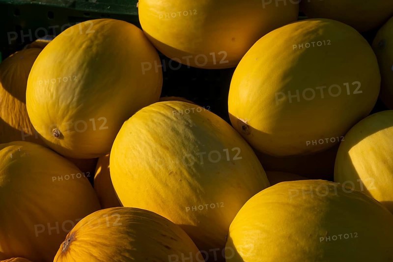 Close-up, several honeydew melons outdoors under sunlight, Copenhagen, Denmark, Europe
