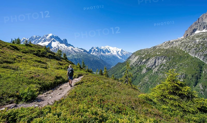 Mountaineer on hiking trail, mountain panorama with glaciated mountain peaks, Aiguille Verte with Aiguille du Midi and Mont Blanc, hike to Aiguillette des Posettes, Chamonix, Haute-Savoie, France, Europe