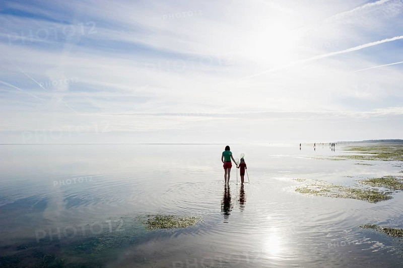 Woman with child walking through the mudflats, Wyk, Föhr, North Frisia, Schleswig-Holstein, Germany, Europe