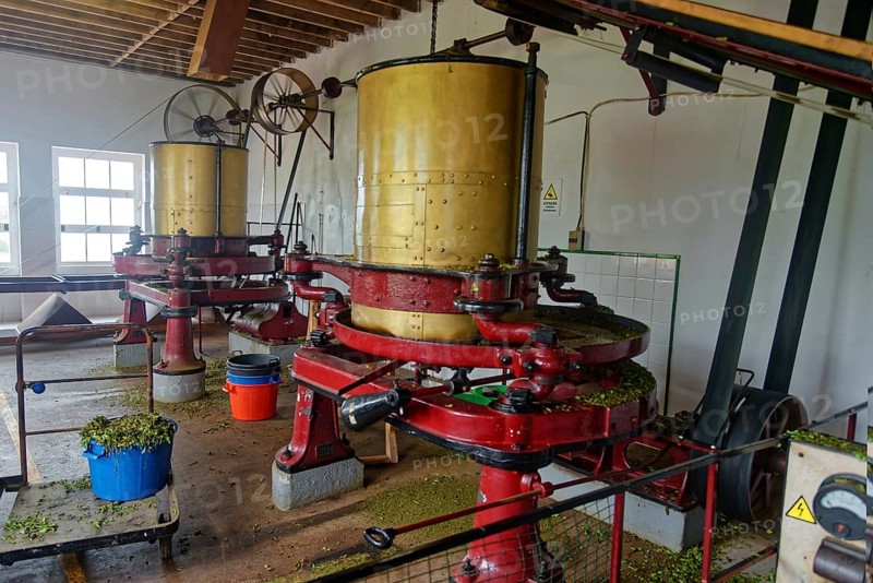 Several yellow-red machines for tea processing in a production room, tea cultivation and production Cha Gorreana near Sao Bras, Sao Miguel, Azores, Portugal, Europe