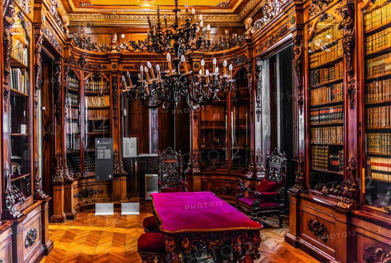 Library, Palazzo Rvoltella, palace and modern art gallery, a total work of art, Trieste, harbour city on the Adriatic, Friuli, Italy, Trieste, Friuli, Italy, Europe