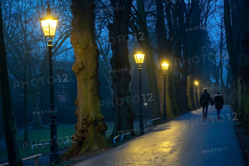 The Burgallee in Düsseldorf-Kaiserswerth, tree-lined avenue, at the old imperial palace, on the Rhine, in winter, lantern lighting, Düsseldorf, North Rhine-Westphalia, Germany, Europe