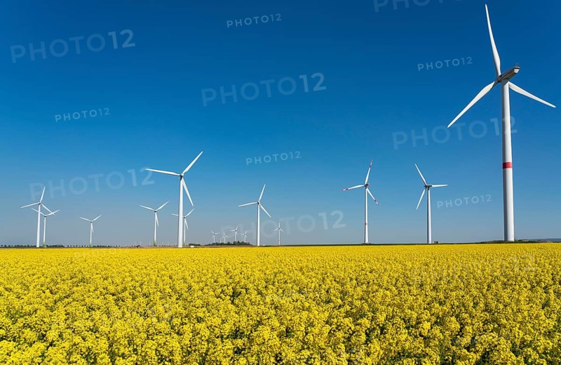 Wind power plants, wind farm, near Lövenich, belongs to the town of Erkelenz, district of Heinsberg, North Rhine-Westphalia, Germany, Europe