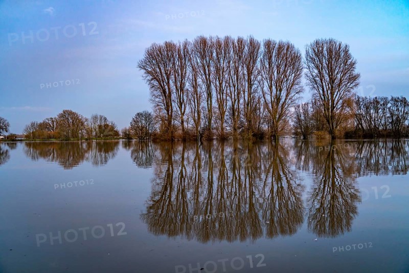 Bislicher Insel nature reserve, floodplain landscape on the Rhine, near Xanten, floods, flooded fields, meadows, North Rhine-Westphalia, Germany, Europe