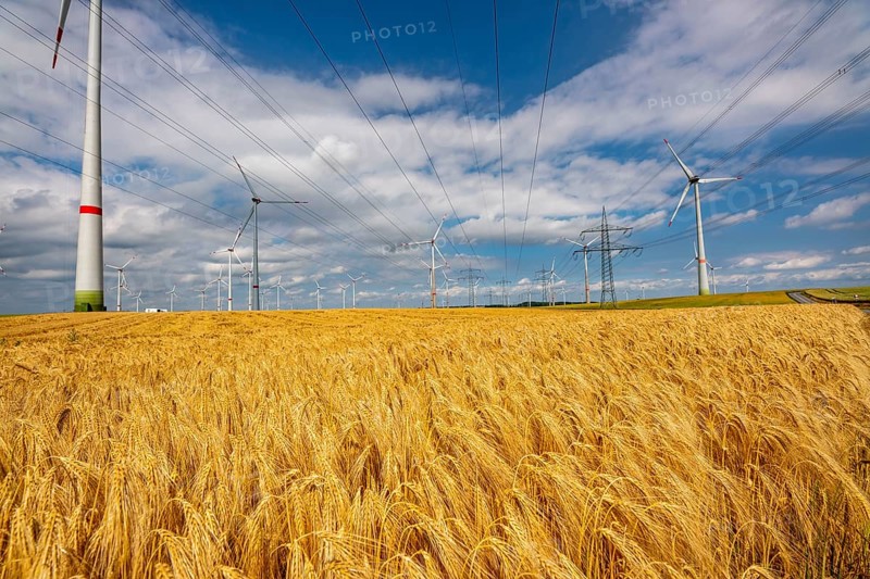 Wind farm east of Bad Wünnenberg, East Westphalia-Lippe, high-voltage power lines, grain field, North Rhine-Westphalia, Germany, Europe