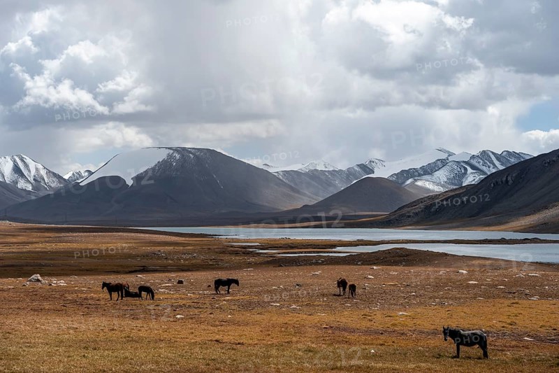 Horses in front of mountain lakes and glaciated and snow-covered peaks, Ak Shyrak Mountains, near Kumtor, Kara-Say, Tian Shan, Kyrgyzstan, Asia