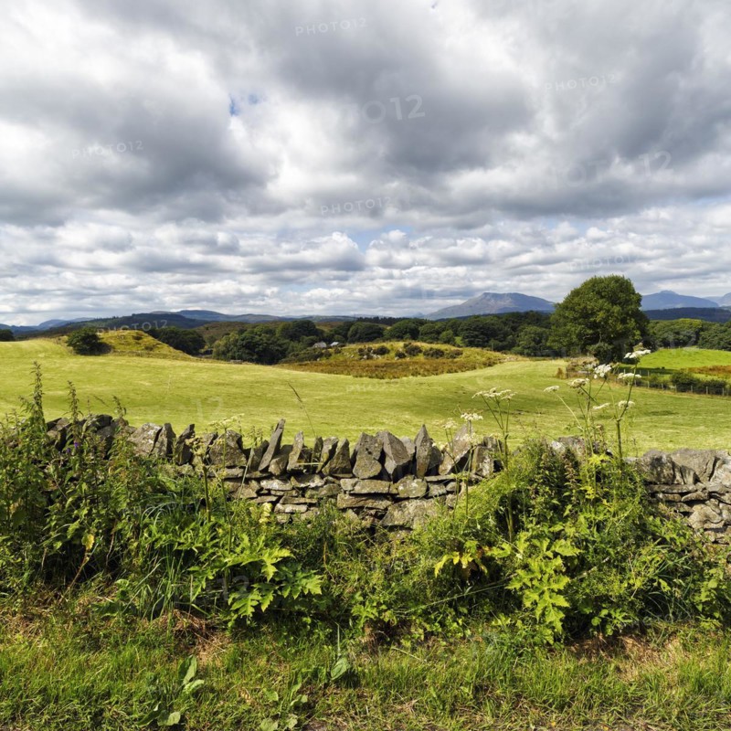 View over typical stone wall to hilly landscape near Betws-y-Coed in Merionethshire, North Wales, Wales, United Kingdom, Europe