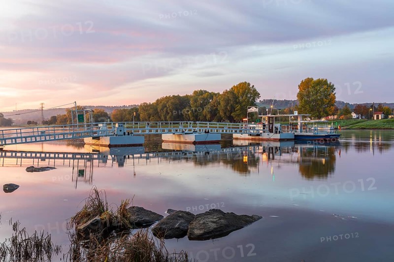 Elbe ferry in the morning light, sunrise on the Elbe in Kötitz, Coswig, Saxony, Germany, Europe