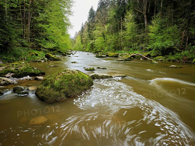 Moss-covered stones on the river Sihl, Sihlsprung, Menzingen, Canton Zug, Switzerland, Europe