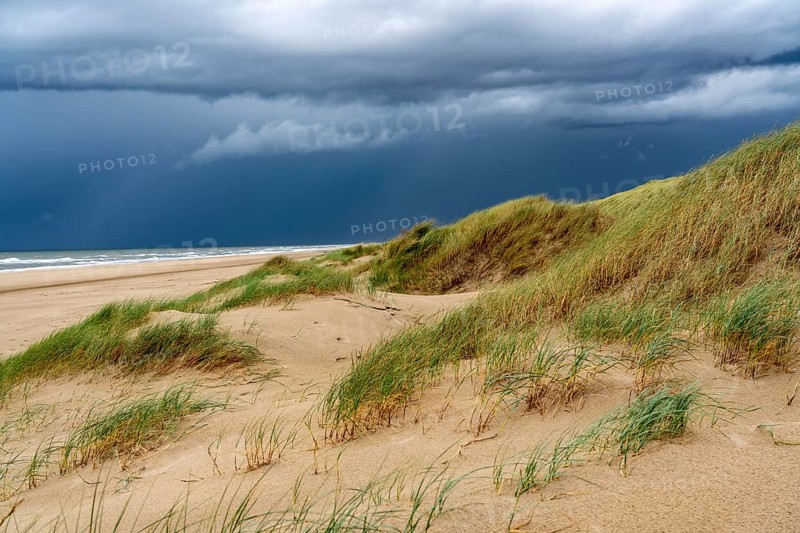 Dune landscape, beach, dark storm clouds, autumn at the North Sea in North Holland, between the towns of Egmond aan Zee and Bergen aan Zee, Netherlands