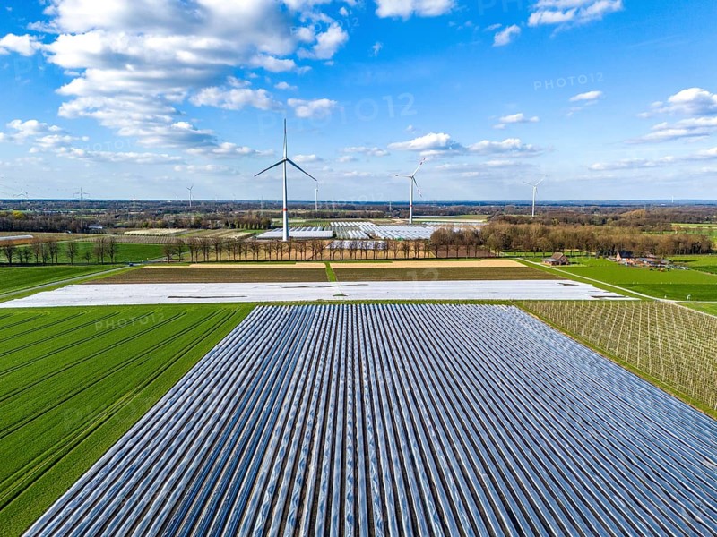 Asparagus fields, asparagus stems under foil, for faster growth, in the background foil greenhouses for strawberries, wind turbines, near Kirchhellen, district of Bottrop, North Rhine-Westphalia, Germany, Europe