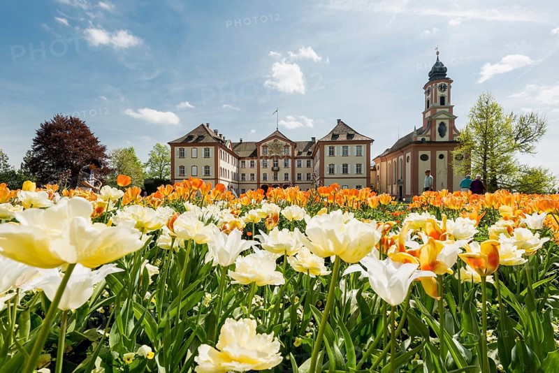 Mainau Castle and St Mary's Castle Church, Mainau Island, Lake Constance, Baden-Württemberg, Germany, Europe