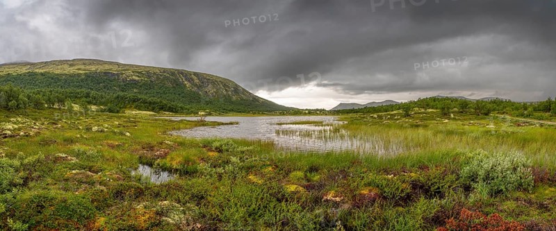 Rain clouds over a small lake near Börsjöhögruva, Panorama, landscape, Fjell, mountains, landscape photography, Alvdal, Tynset, Innlandet, Norway, Europe
