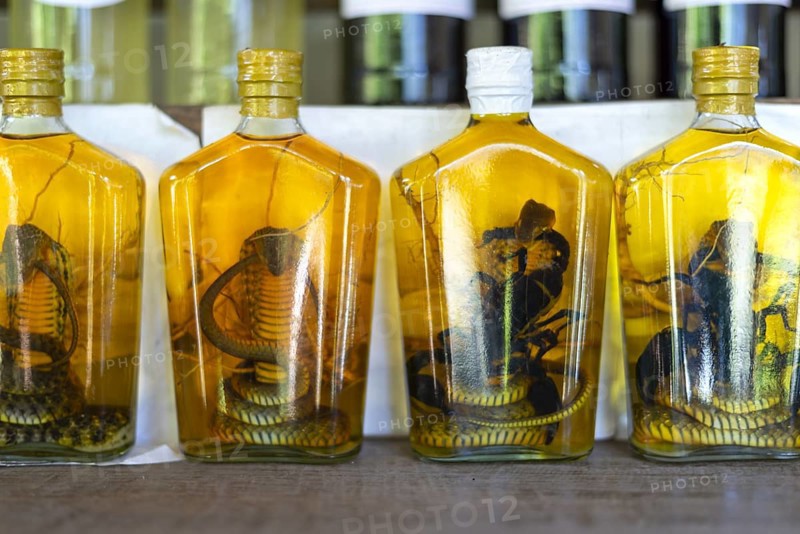 Choum, rice liquor, rice wine with pickled scorpions and Snakes for sale, Laos, Asia
