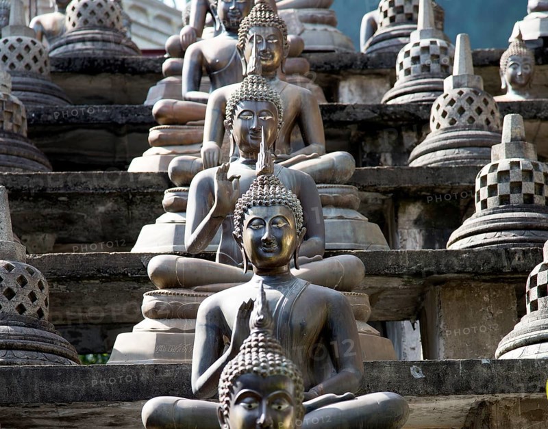 Buddha statues at Gangaramaya Temple, Colombo, Sri Lanka, Asia
