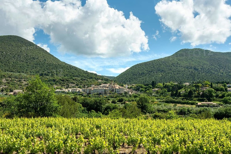 Venterol village near Nyons and its vineyards in Drôme Provençal. Drôme. Auvergne-Rhone-Alpes. France