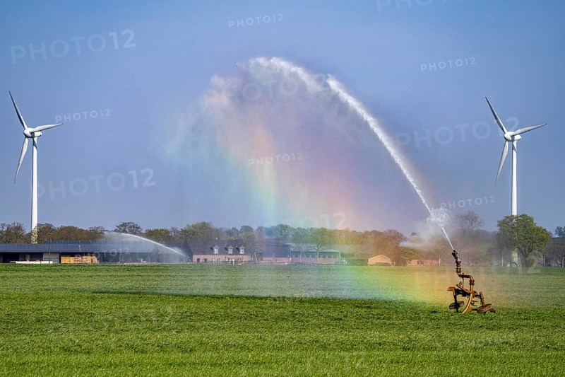 Artificial irrigation of a cereal field in April, with a sprinkler system, long dry spell in spring makes this necessary for the young plants to grow well, Kerken, Lower Rhine, North Rhine-Westphalia, Germany, Europe