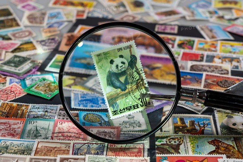 Stamp collection, collecting, postage stamps, postage stamps from different countries, magnifying glass, stamp with panda bear from North Korea