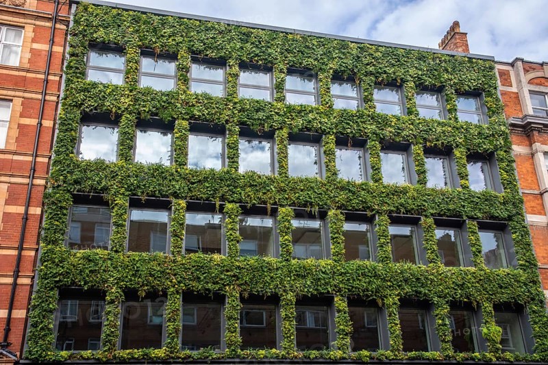 Green facade in Bloomsbury, Camden, West End, London, England, UK, Great Britain, United Kingdom, Europe