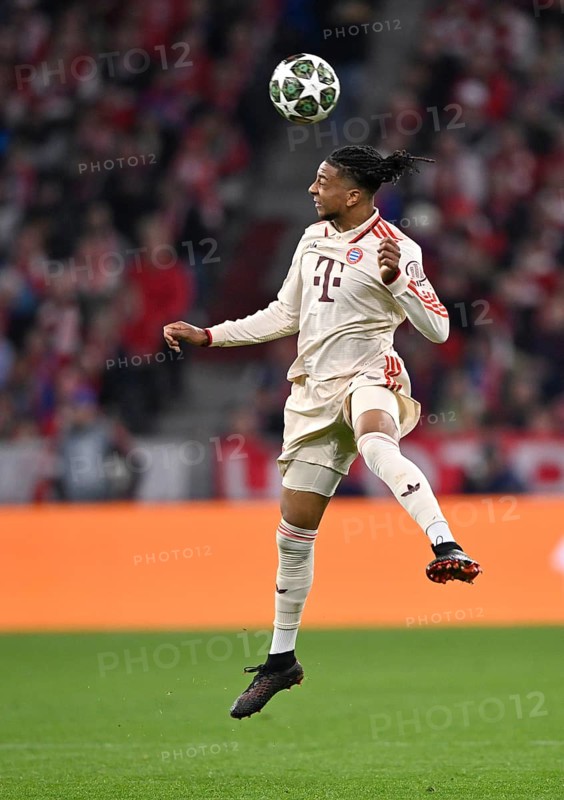 Header action Michael Olise FC Bayern Munich FCB (17) Champions League, Allianz Arena, Munich, Bavaria, Germany, Europe