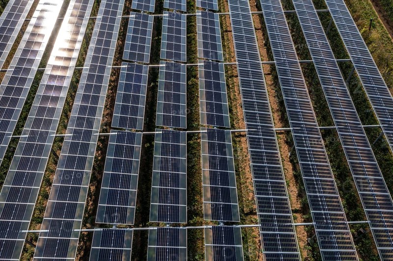 Agri-photovoltaic test plant, an apple orchard with two different systems of PV modules was roofed over 3000 square metres, rain and sunlight comes through, at the same time protection against hail and heavy rain, next to it are the same trees but without a solar roof, as a comparison object, how the PV roof affects the trees and harvest, the field test is accompanied by the Fraunhofer Institute for Solar Energy Systems ISE, in Grafschaft-Gelsdorf, Rhineland-Palatinate, Germany, Europe