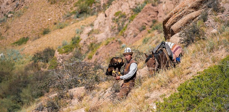 Traditional Kyrgyz eagle hunter with eagle in the mountains, hunting on horseback, near Kysyl-Suu, Kyrgyzstan, Asia