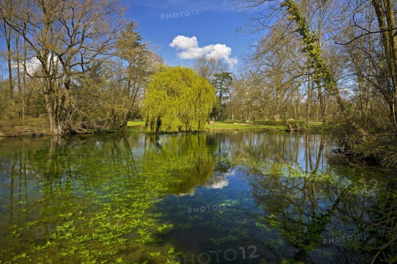 Paffendorf Castle, Castle Park, Route of Garden Art between the Rhine and Meuse with forest nature trail, Bergheim, North Rhine-Westphalia, Germany, Europe