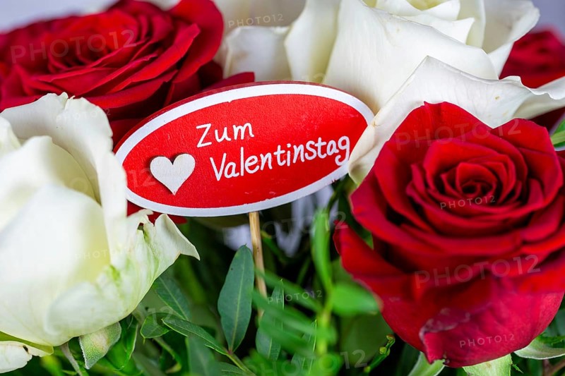 Valentine's greetings: Warm Valentine's Day greetings with a bouquet of white and red roses