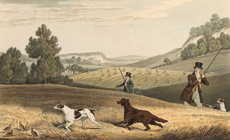 Partridge hunting in England, 1822, Historical, digitally restored reproduction from a 19th century original, Record date not stated