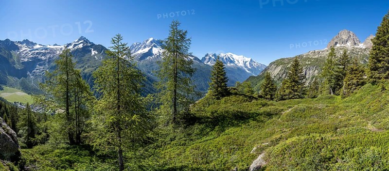 Mountain panorama with glaciated mountain peaks, Aiguille Verte with Aiguille du Midi and Mont Blanc, hike to Aiguillette des Posettes, Chamonix, Haute-Savoie, France, Europe