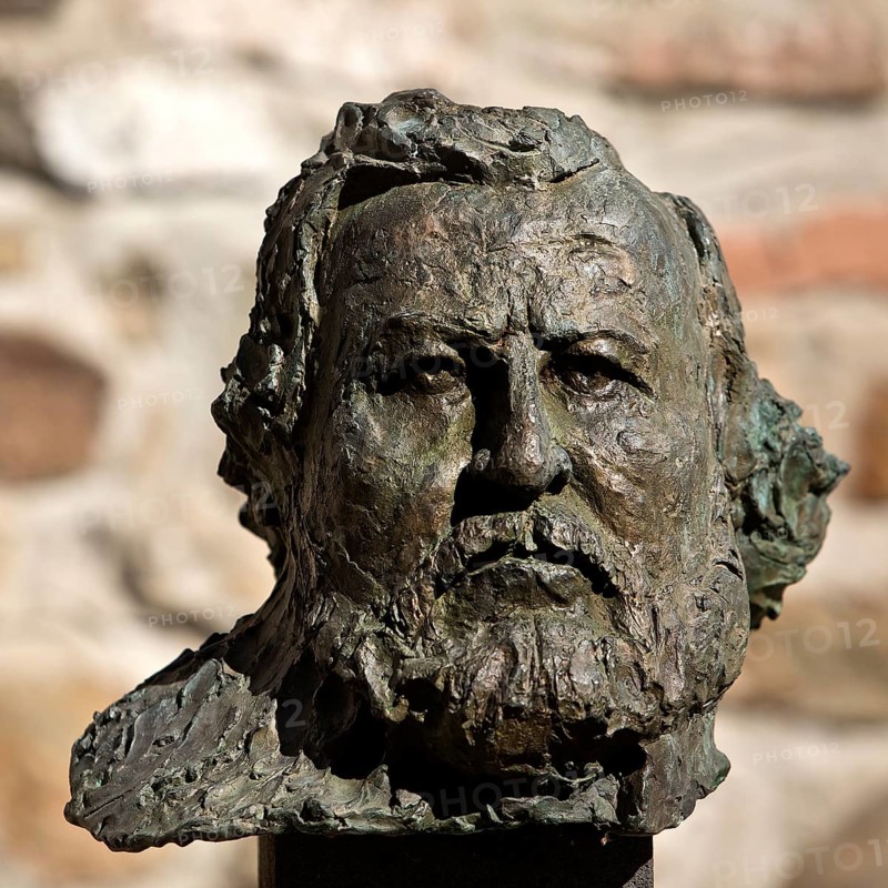 Portrait head Carl Vogt by Thomas Duttenhoefer, bronze, green patina, Giessener Köpfe, Altes Schloss Giessen, Hesse, Germany, Europe