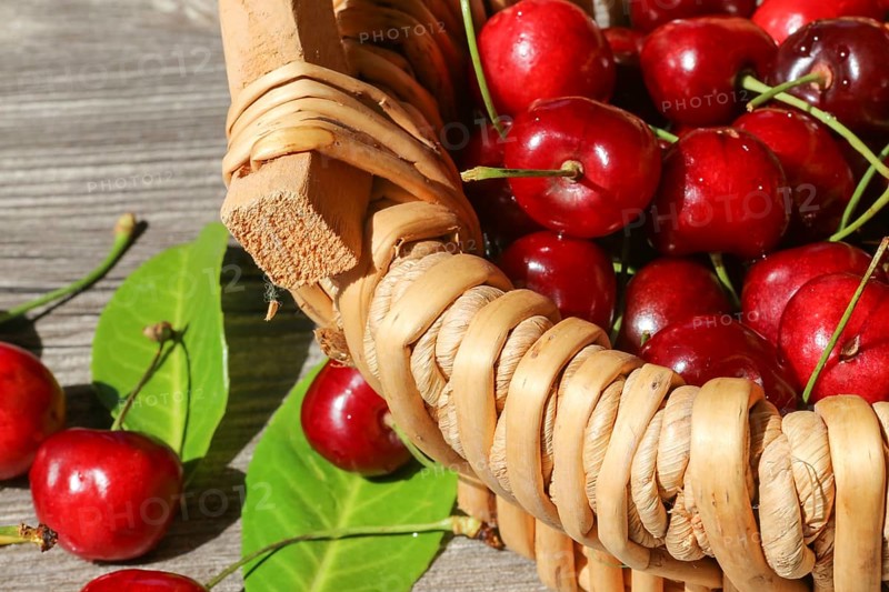 Close-up of delicious sweet cherries