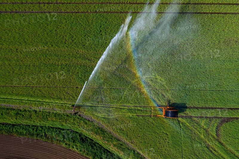 Irrigation of a wheat field on the Lower Rhine, with a mobile irrigation machine, large-area sprinkler, Germany, Europe