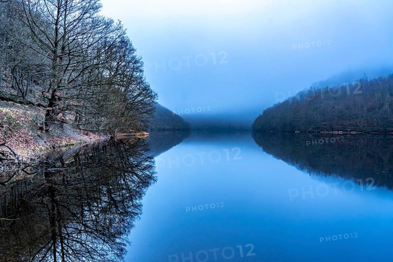 Lake Rursee in the Eifel, reservoir, upper lake, in winter, fog, near Heimbach, North Rhine-Westphalia, Germany, Europe