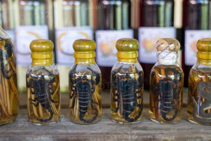 Choum, rice liquor, rice wine with pickled scorpions and snakes for sale, Laos, Asia