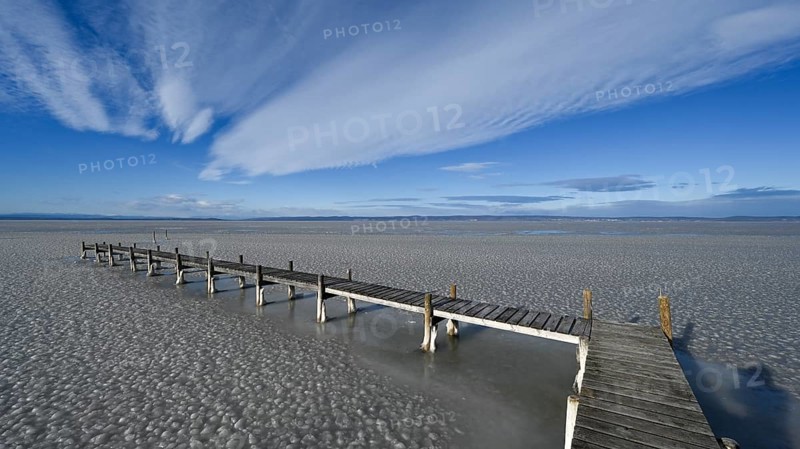 Frozen lake with ice and footbridge in winter, Lake Neusiedl, Podersdorf am See, Burgenland, Austria, Europe
