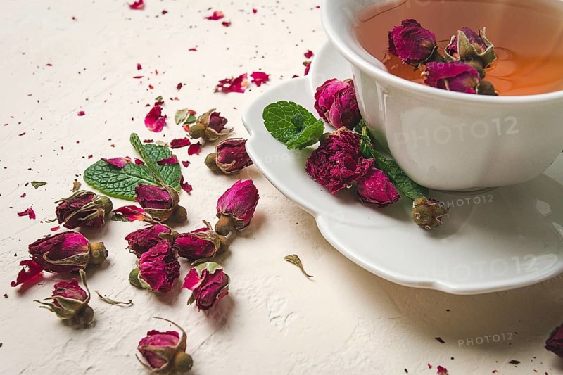 Cup of tea, damask rose, pink tea, close-up