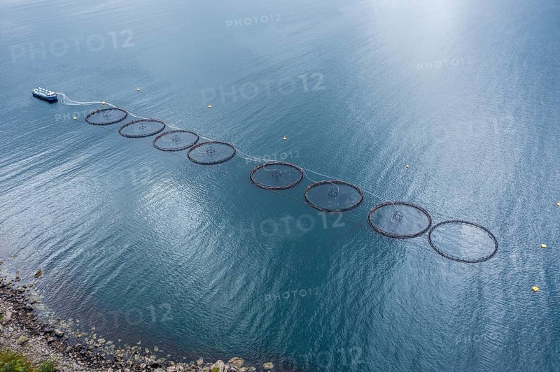 Aerial view of a salmon farm, rainy weather, grey sky, Vesteralen islands, Norway, Europe